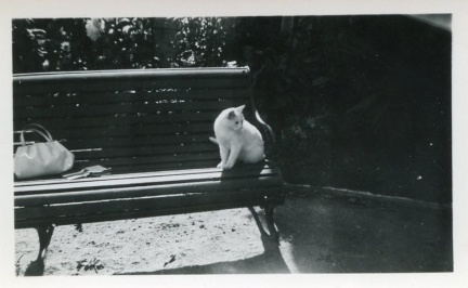 IMG-000156