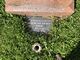 grave J Piper