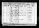 Census 1901 Nurseries Brenchley, Kent RG13/760/38/20